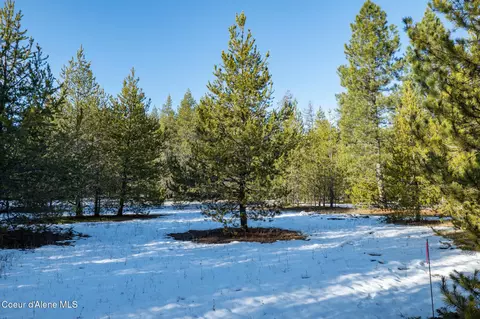 2 Hoo Doo Loop Road, Oldtown, ID 83822 photo 17