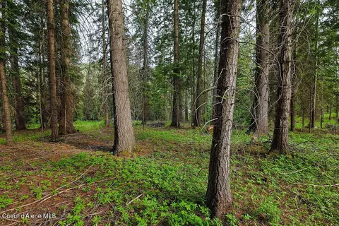 Exterior - 164 W Fork Pine Creek Rd, Pinehurst, ID 83850 photo 4 of 7