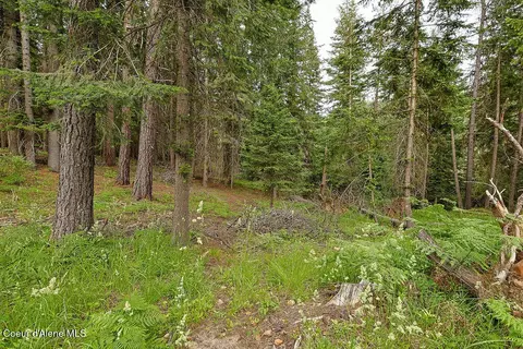 Exterior - 164 W Fork Pine Creek Rd, Pinehurst, ID 83850 photo 7 of 7