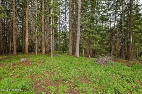 Exterior - 164 W Fork Pine Creek Rd, Pinehurst, ID 83850 photo 5 of 7