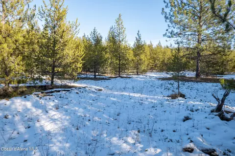 3 Hoo Doo Loop Road, Oldtown, ID 83822 photo 6