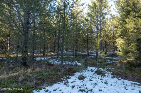 3 Hoo Doo Loop Road, Oldtown, ID 83822 photo 25
