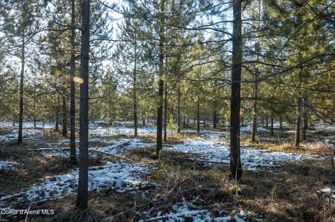 3 Hoo Doo Loop Road, Oldtown, ID 83822 photo 18