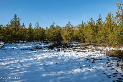 3 Hoo Doo Loop Road, Oldtown, ID 83822 photo 17