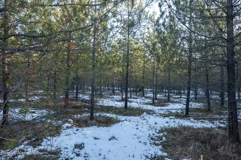 3 Hoo Doo Loop Road, Oldtown, ID 83822 photo 14