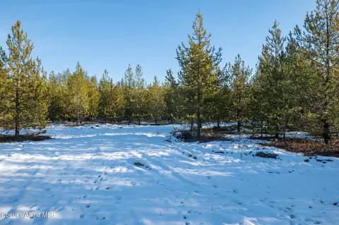 3 Hoo Doo Loop Road, Oldtown, ID 83822 photo 5