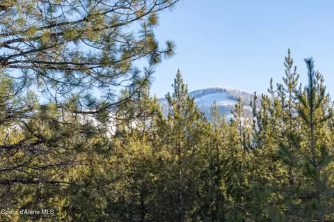 4 Hoo Doo Loop Road, Oldtown, ID 83822 photo 9