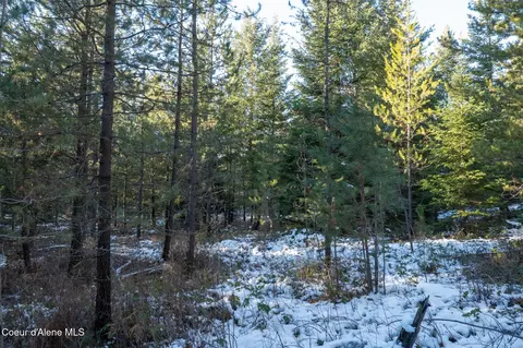 4 Hoo Doo Loop Road, Oldtown, ID 83822 photo 24