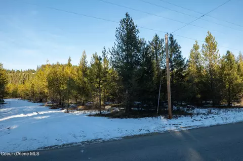 4 Hoo Doo Loop Road, Oldtown, ID 83822 photo 6