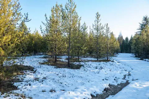 4 Hoo Doo Loop Road, Oldtown, ID 83822 photo 19