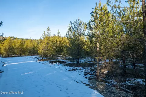 4 Hoo Doo Loop Road, Oldtown, ID 83822 photo 4
