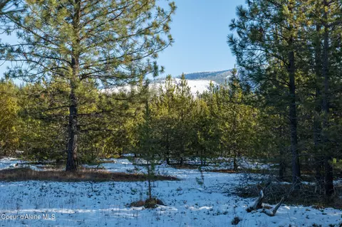 4 Hoo Doo Loop Road, Oldtown, ID 83822 photo 8