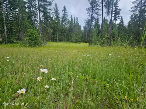 Exterior - 4900 E Hudlow Rd, Hayden, ID 83835 photo 23 of 25
