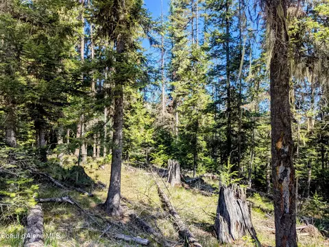 Sheep Creek Rd, Santa, ID 83866