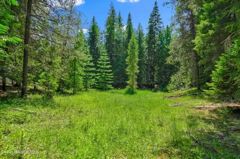 480 Mountain Meadows Rd, Naples, ID 83847 photo 45