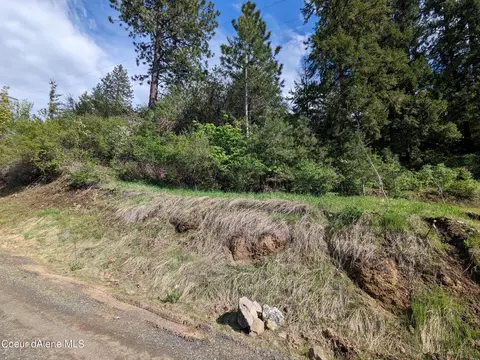 60 Frederick Avenue, Harrison, ID 83833 photo 3