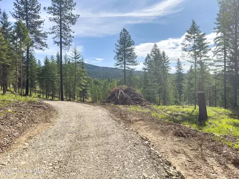 217 Gold Mountain Dr, Sagle, ID 83860