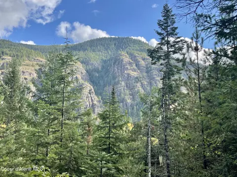 Other - 1728 Dry Creek Rd, Clark Fork, ID 83811 photo 20 of 20