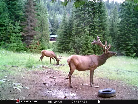 Other - 1728 Dry Creek Rd, Clark Fork, ID 83811 photo 6 of 20