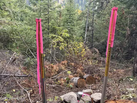Other - 1728 Dry Creek Rd, Clark Fork, ID 83811 photo 13 of 20