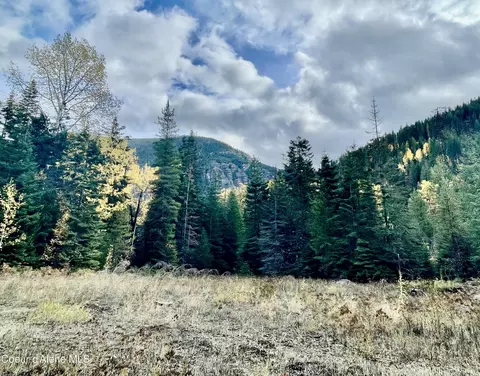 Other - 1728 Dry Creek Rd, Clark Fork, ID 83811 photo 12 of 20