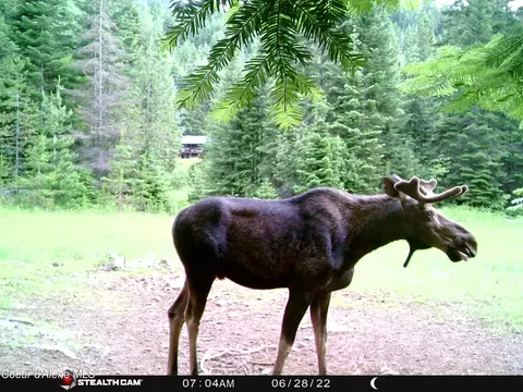 Other - 1728 Dry Creek Rd, Clark Fork, ID 83811 photo 7 of 20