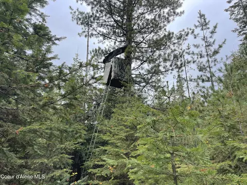 Other - 1728 Dry Creek Rd, Clark Fork, ID 83811 photo 10 of 20
