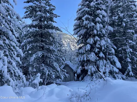 Exterior - 1728 Dry Creek Rd, Clark Fork, ID 83811 photo 13 of 16