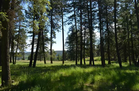 2620 E Old Barn Ct, Harrison, ID 83833 photo 4