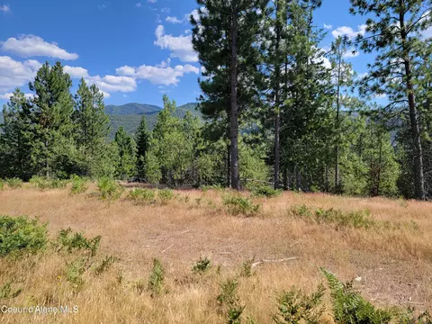 lot A Blue Star Ln, Pinehurst, ID 83850 photo 5