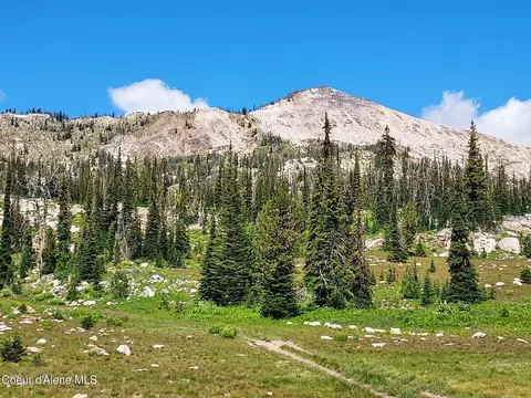 Crooked River Road, Orogrande, ID 83525