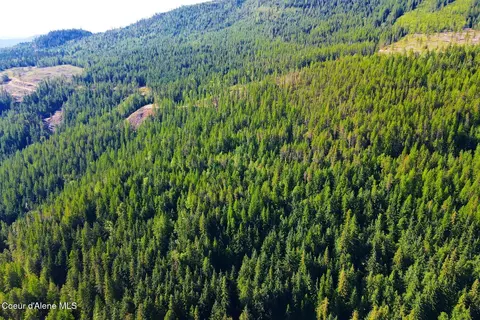 Nna Morris Rd, Naples, ID 83847 photo 6