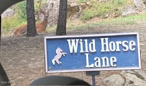 7376 Wild Horse Ln, Bonners Ferry, ID 83805