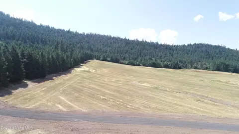 lot5 Pebblestone Dr, Plummer, ID 83851 photo 11