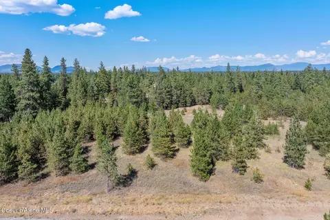 lot1 Dawson Lp Lp, Athol, ID 83801 photo 2
