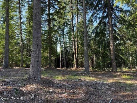 442 Fox Glen Rd, Sandpoint, ID 83864