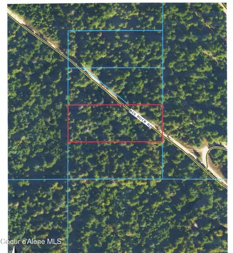 Nka Big Buck Road, Bayview, ID 83803