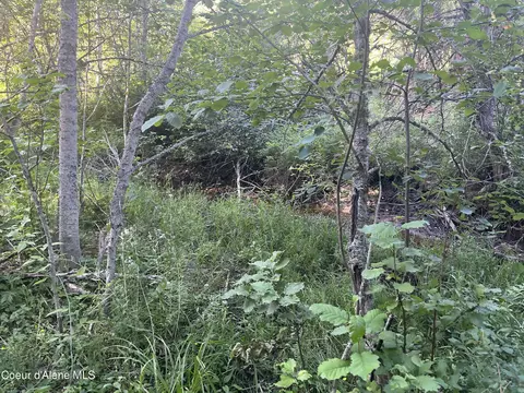 0 Upper Pack River Rd, Sandpoint, ID 83862 photo 13