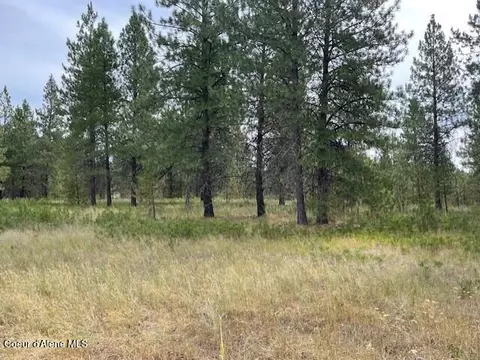 lot4 Sheep Springs Rd, Athol, ID 83801