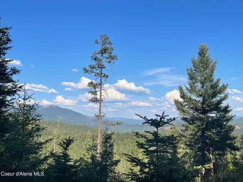 Nka Ridgeview Drive W2, Saint Maries, ID 83861