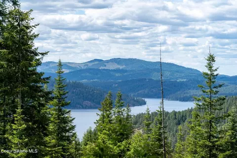 lot2 Riddle Rd, Harrison, ID 83833