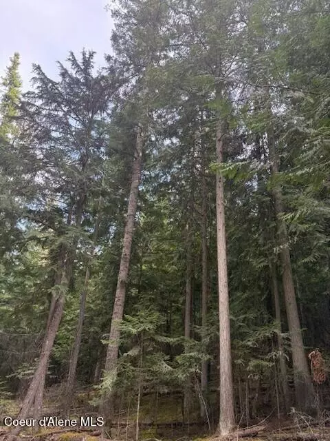 tbd Big Buck Rd, Bayview, ID 83803