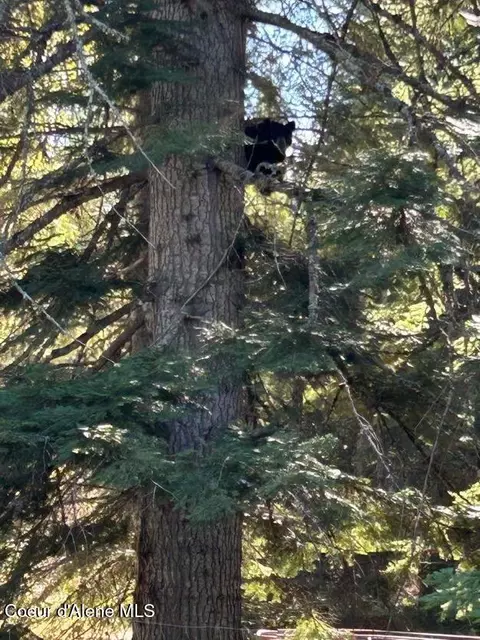Other - 633 Old Mill Rd, Sandpoint, ID 83864 photo 10 of 18