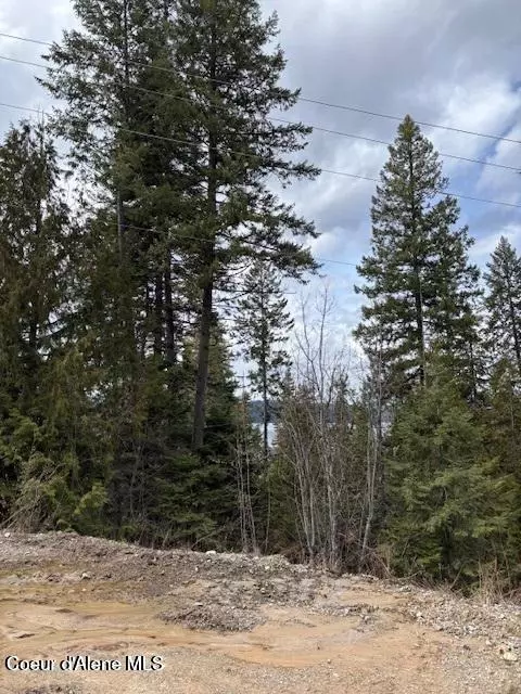 lot1 Sherwood Ter, Coolin, ID 83821