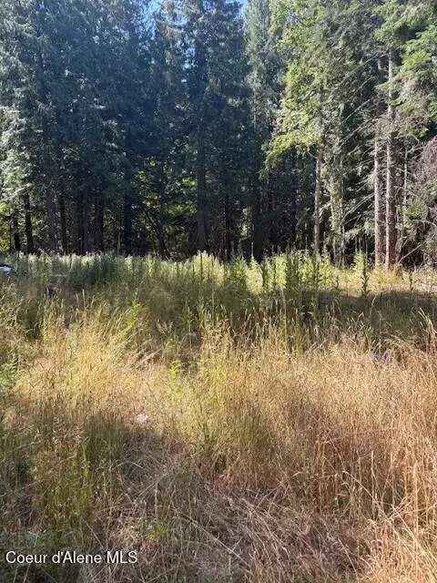 108 W Kamloop, Bayview, ID 83803 photo 3