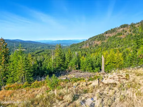 Nna Orion 20acres Dr, Cocolalla, ID 83813