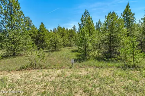 lot7 Dawson Lp, Athol, ID 83801 photo 6