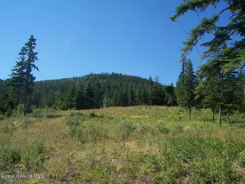 Nna Mellick Rd, Post Falls, ID 83854 photo 5