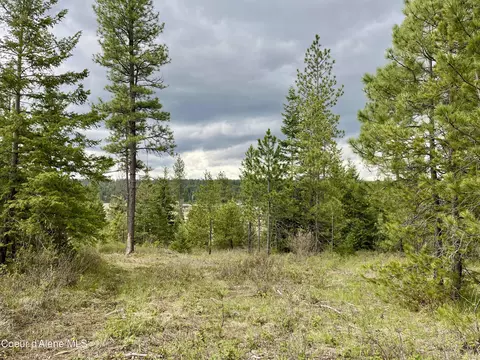12 Acres Elizabeth Ln, Athol, ID 83801