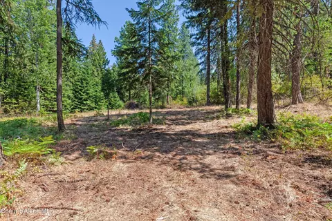 2300 S Dunlap Rd, Harrison, ID 83833 photo 13